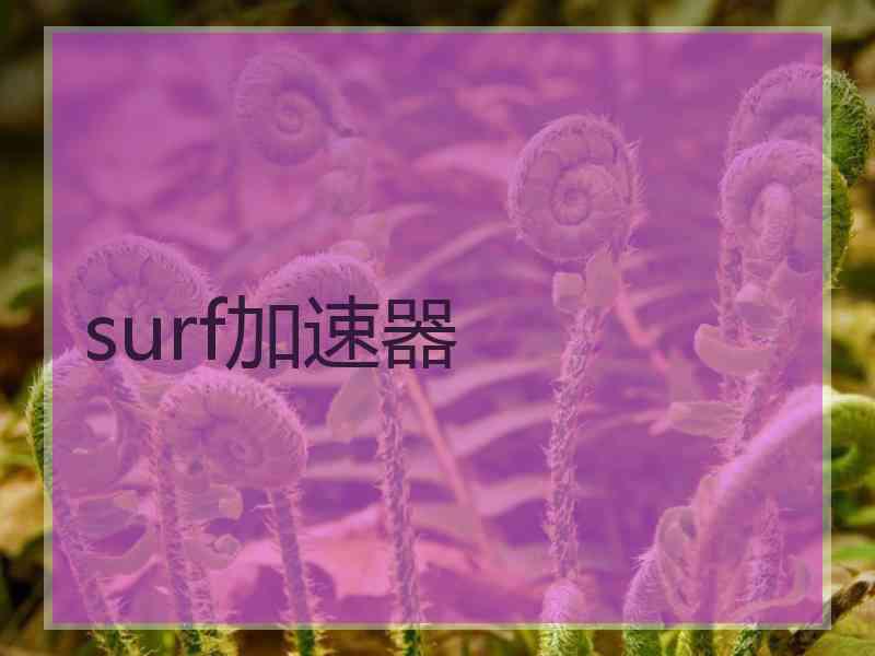 surf加速器