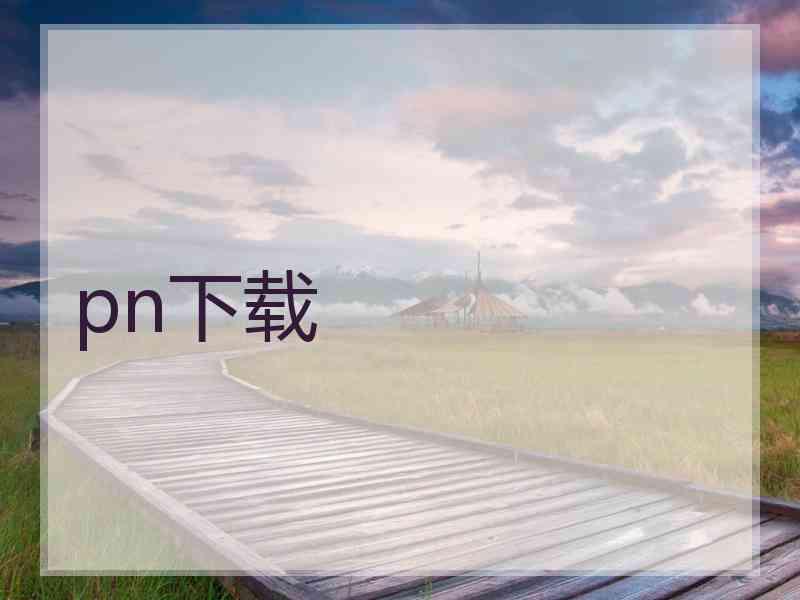 pn下载