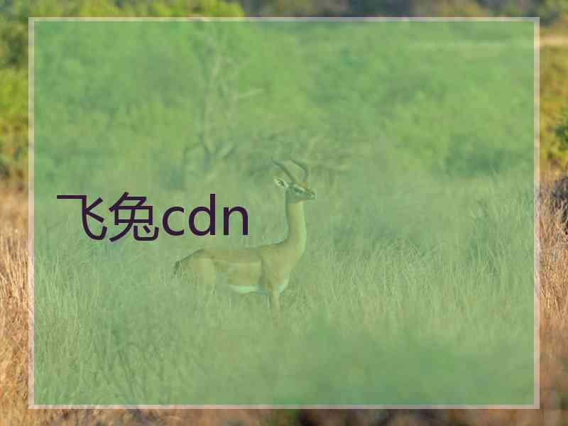 飞兔cdn
