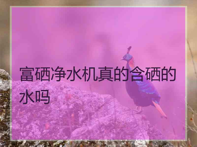 富硒净水机真的含硒的水吗