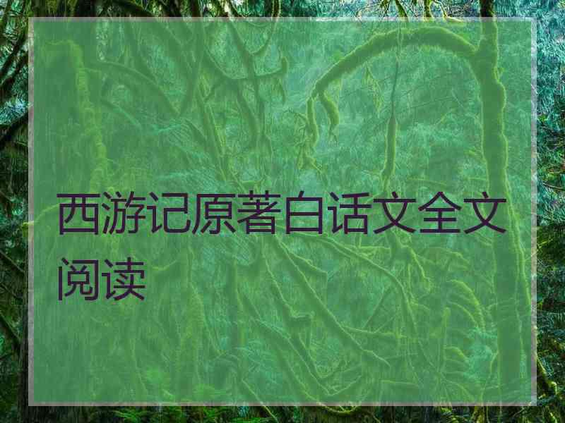 西游记原著白话文全文阅读