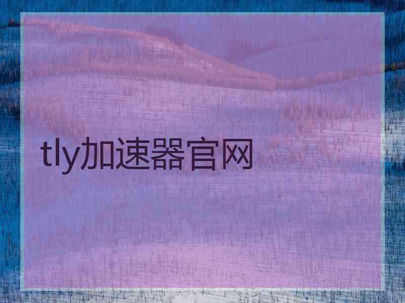 tly加速器官网