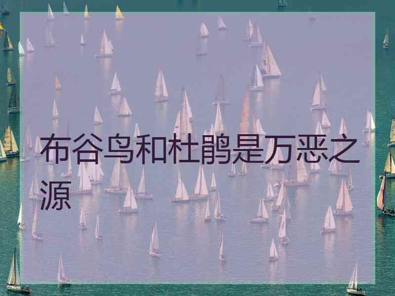 布谷鸟和杜鹃是万恶之源