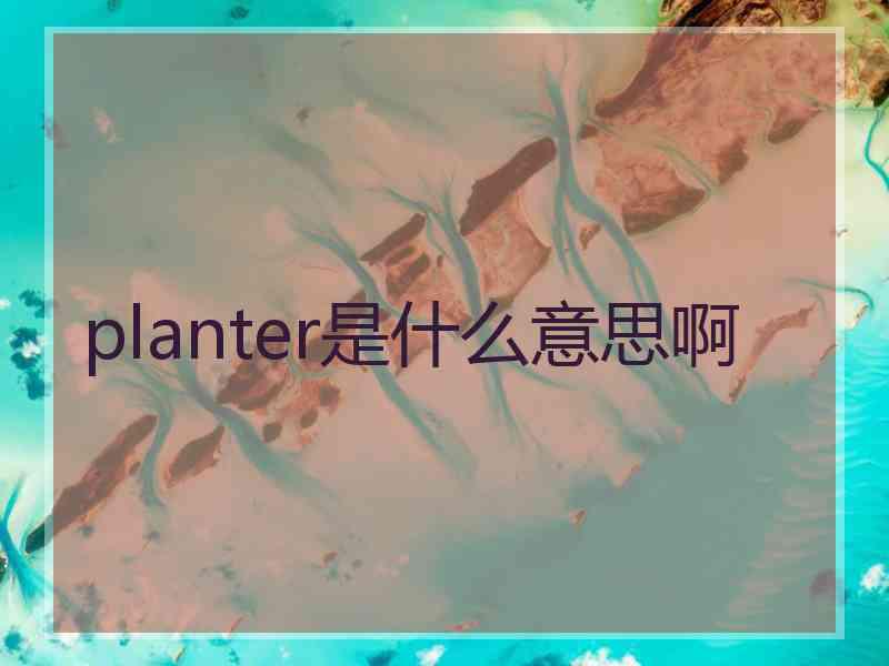 planter是什么意思啊