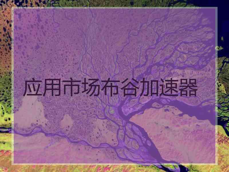 应用市场布谷加速器