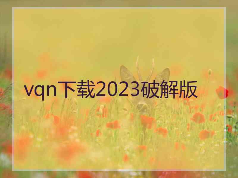 vqn下载2023破解版