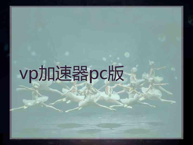 vp加速器pc版