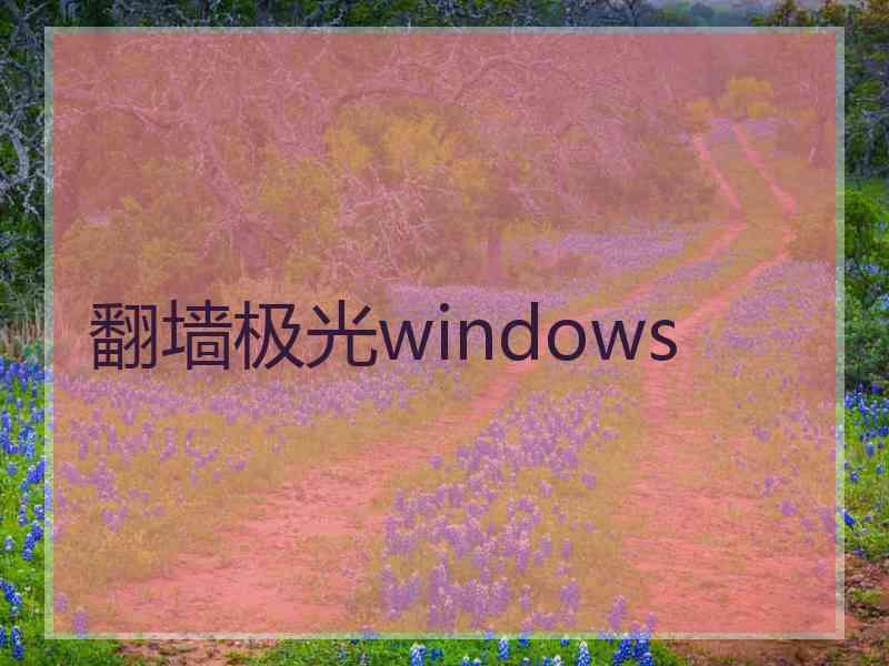 翻墙极光windows