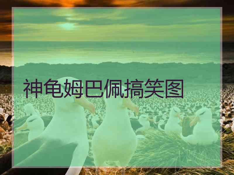 神龟姆巴佩搞笑图