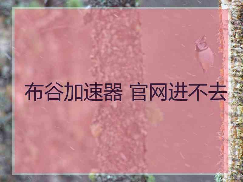 布谷加速器 官网进不去