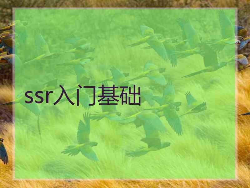 ssr入门基础