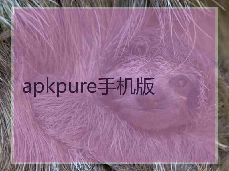 apkpure手机版