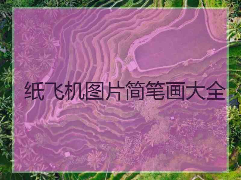纸飞机图片简笔画大全