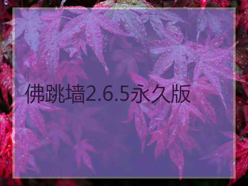 佛跳墙2.6.5永久版