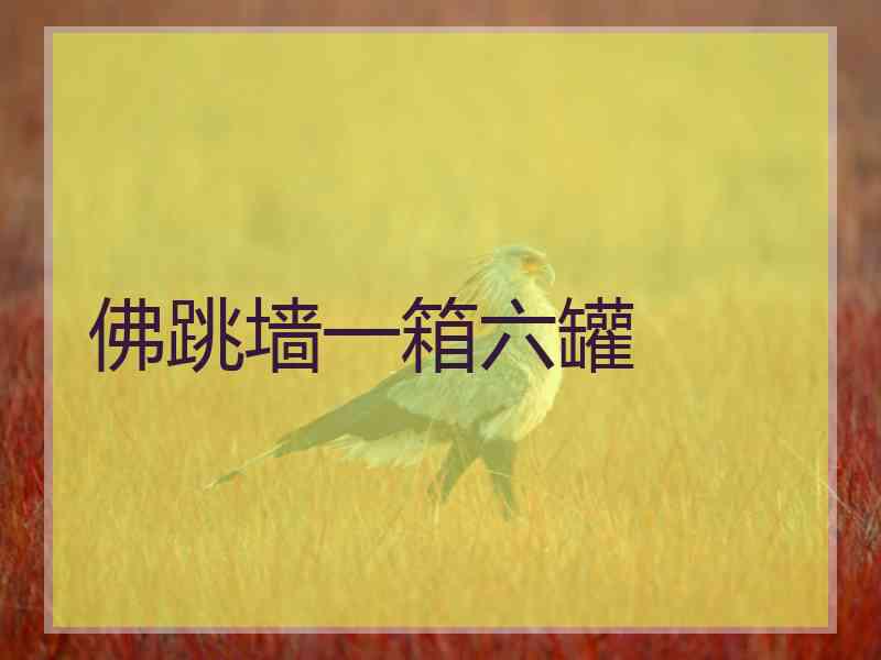 佛跳墙一箱六罐