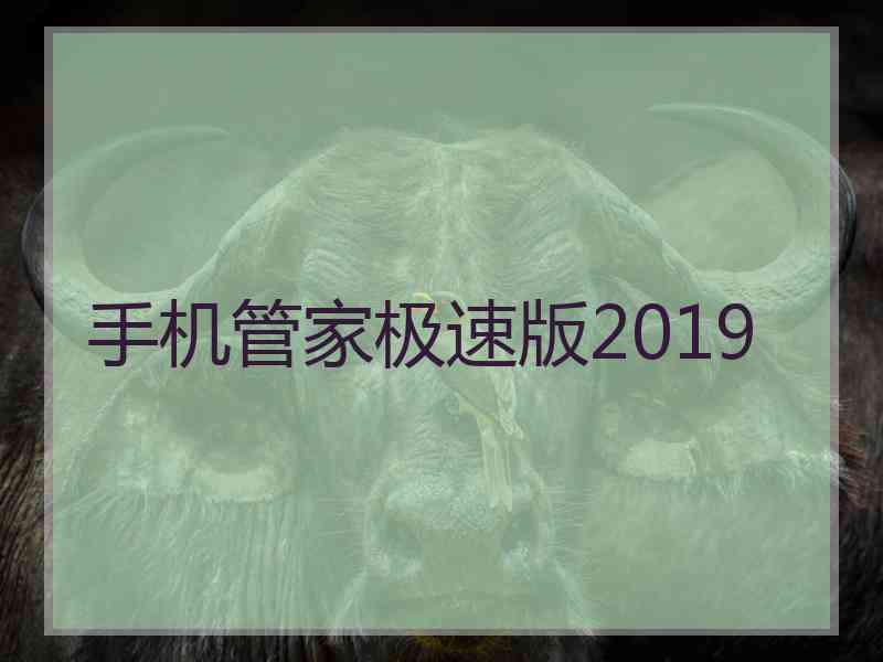 手机管家极速版2019
