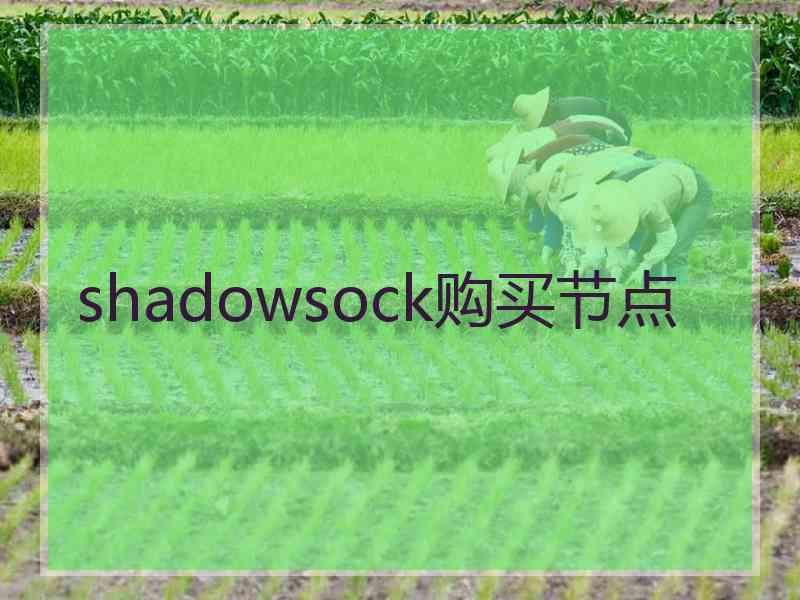 shadowsock购买节点