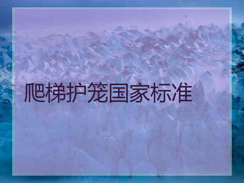 爬梯护笼国家标准