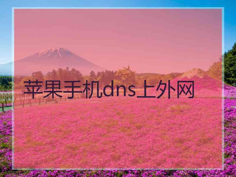 苹果手机dns上外网