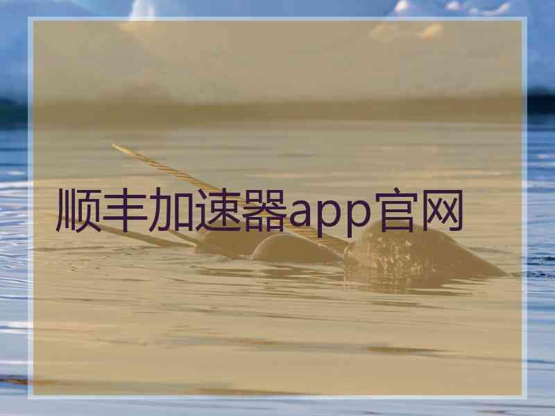 顺丰加速器app官网