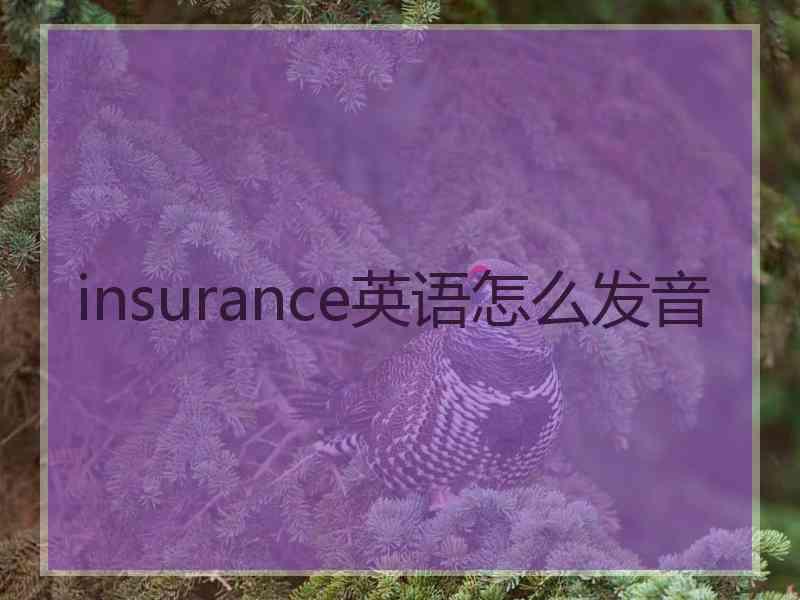 insurance英语怎么发音