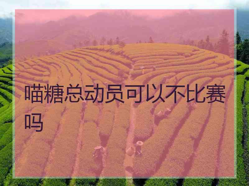 喵糖总动员可以不比赛吗