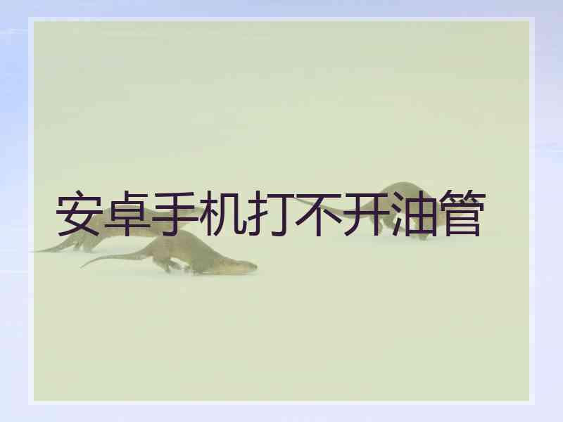 安卓手机打不开油管
