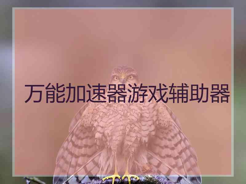 万能加速器游戏辅助器