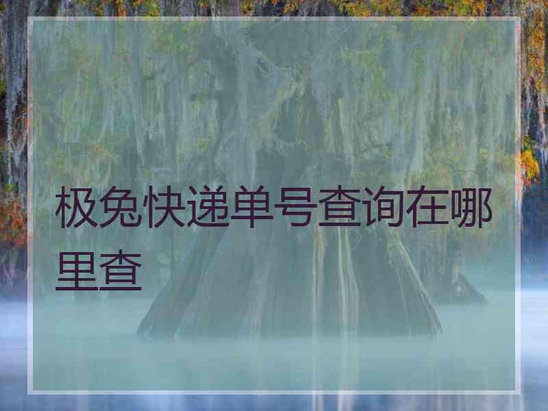 极兔快递单号查询在哪里查