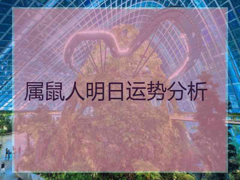 属鼠人明日运势分析