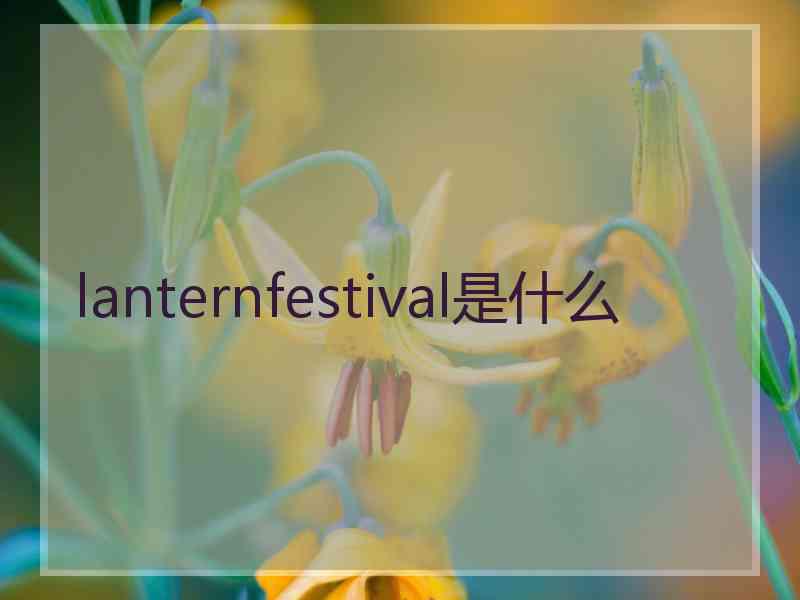 lanternfestival是什么