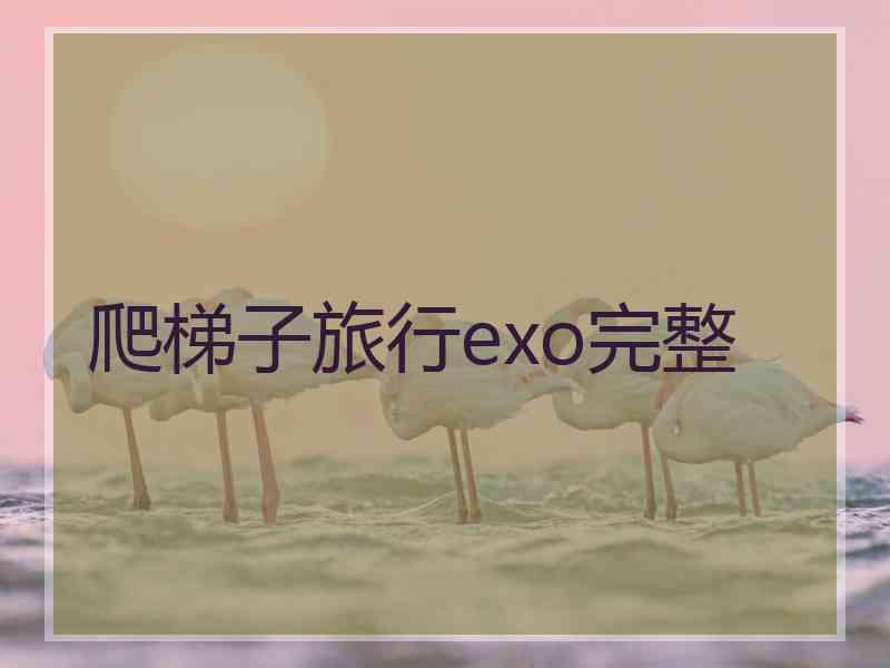 爬梯子旅行exo完整