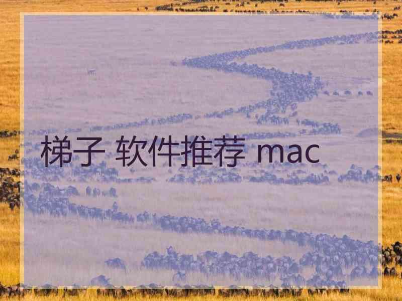 梯子 软件推荐 mac