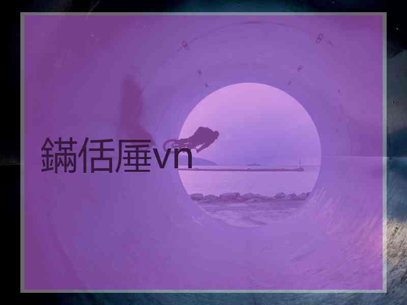 鏋佸厜vn