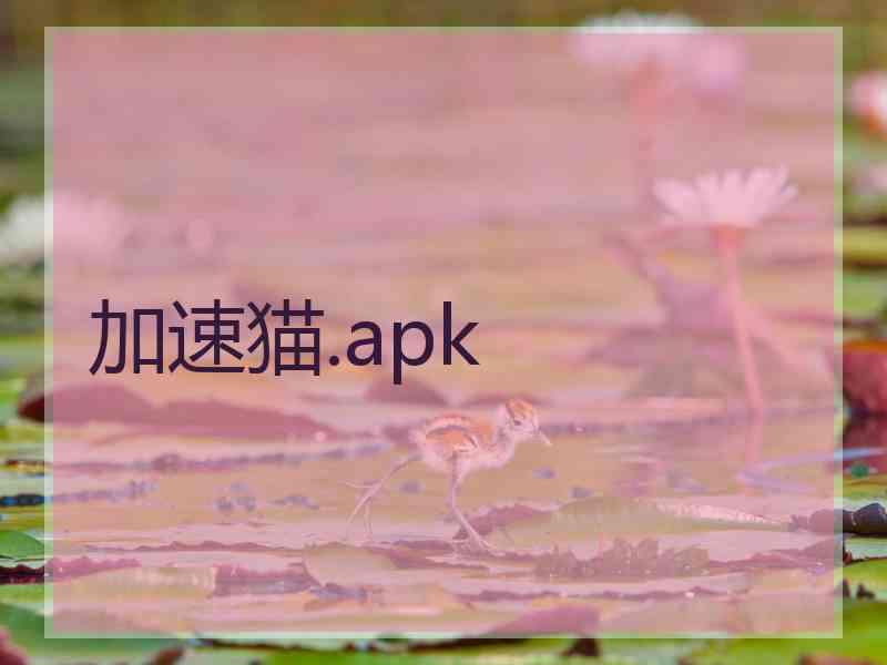 加速猫.apk