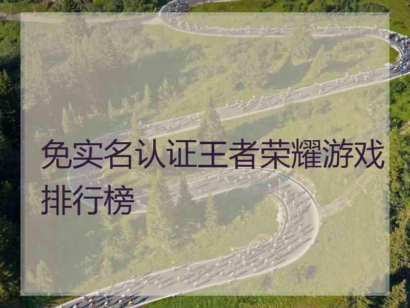 免实名认证王者荣耀游戏排行榜
