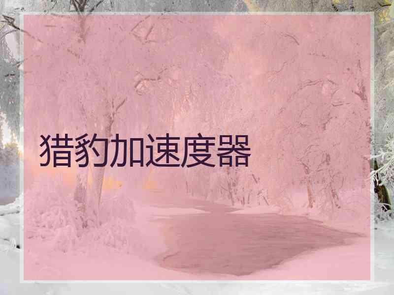猎豹加速度器