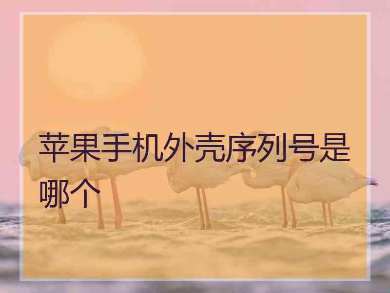 苹果手机外壳序列号是哪个