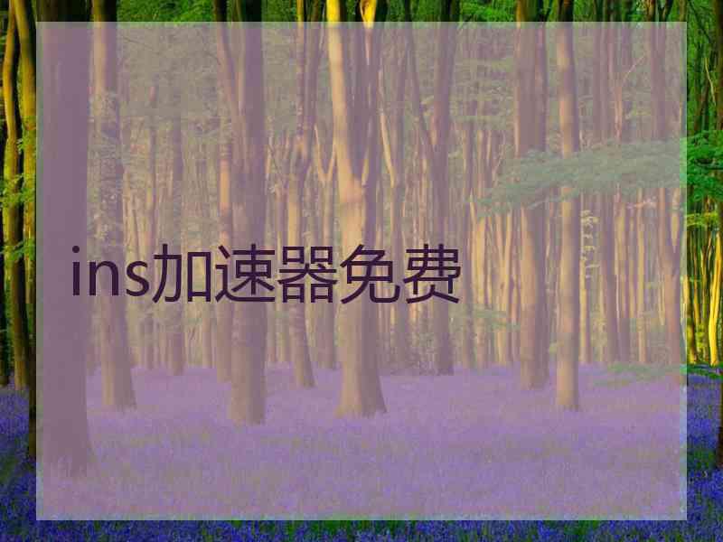 ins加速器免费