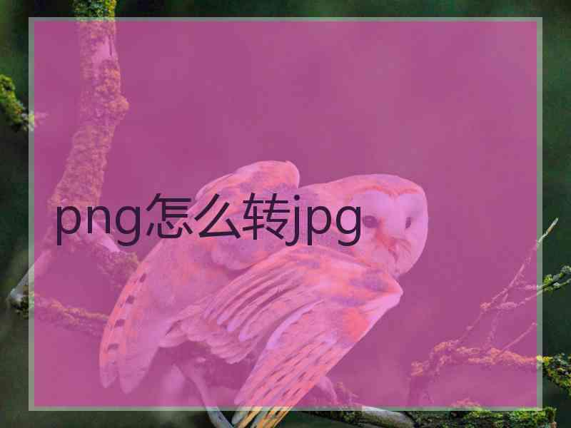 png怎么转jpg
