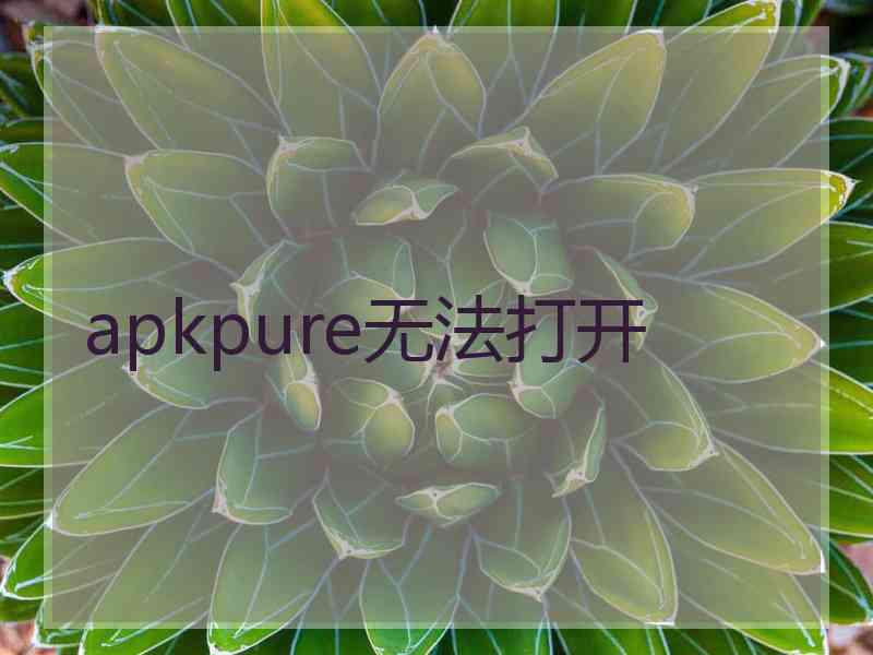 apkpure无法打开