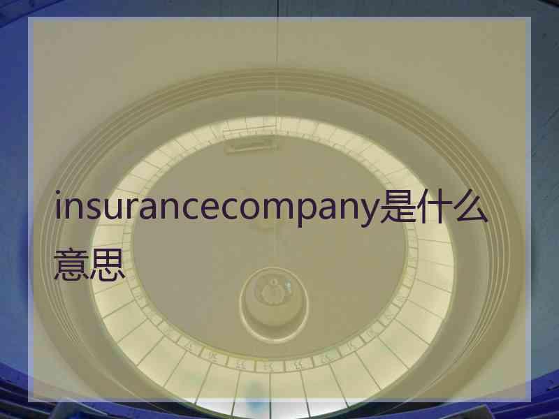 insurancecompany是什么意思