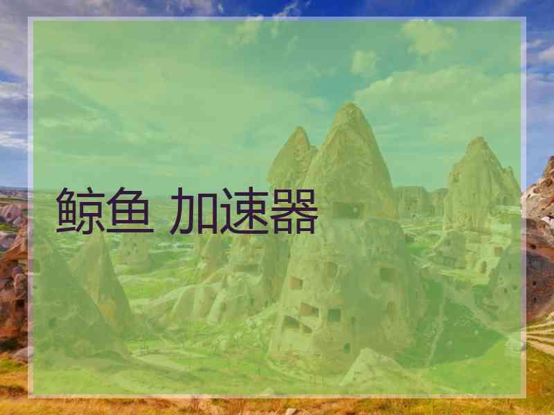 鲸鱼 加速器