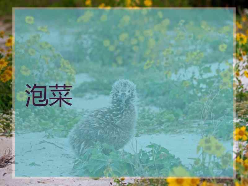 泡菜