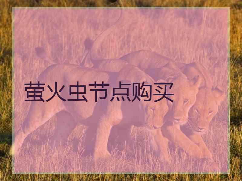 萤火虫节点购买