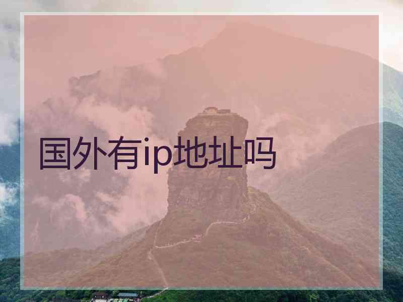 国外有ip地址吗