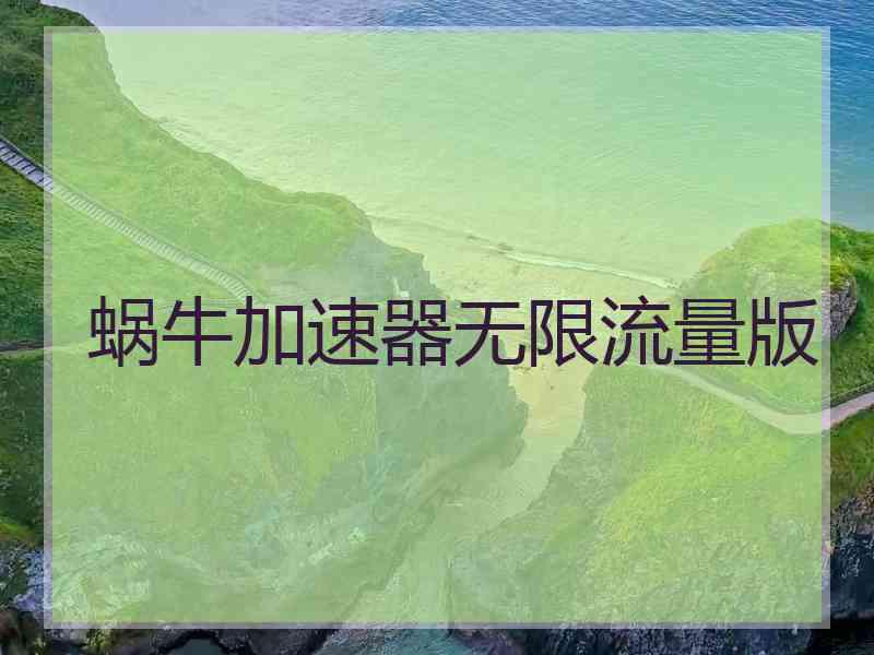 蜗牛加速器无限流量版