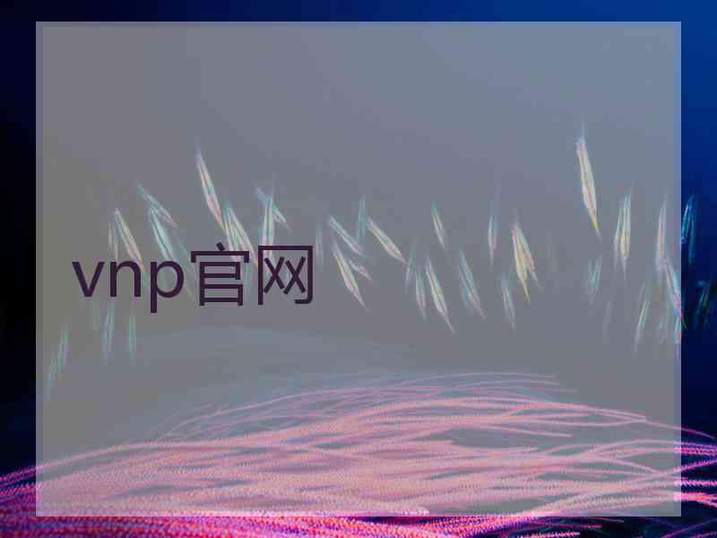 vnp官网