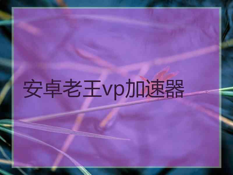 安卓老王vp加速器