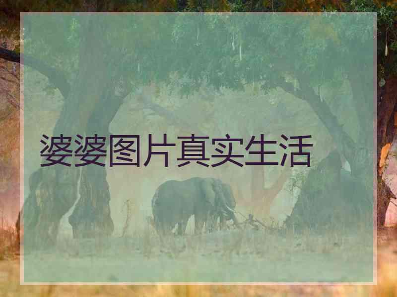 婆婆图片真实生活